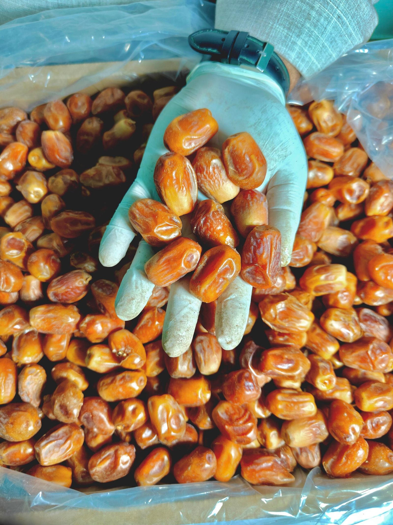 জিহাদি খেজুর | Jihadi Dates ১ কেজি - Image 3