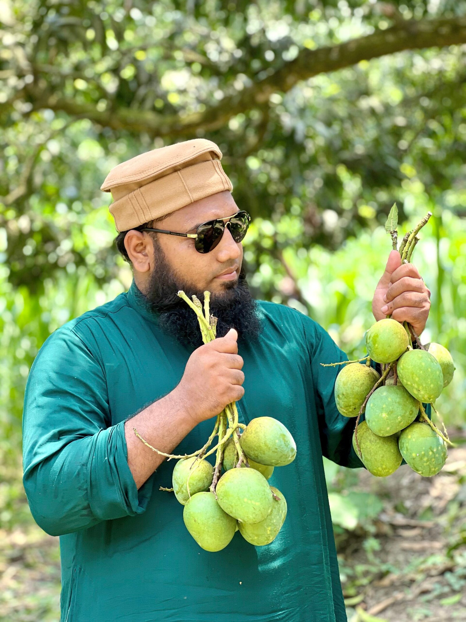 হিমসাগর আম