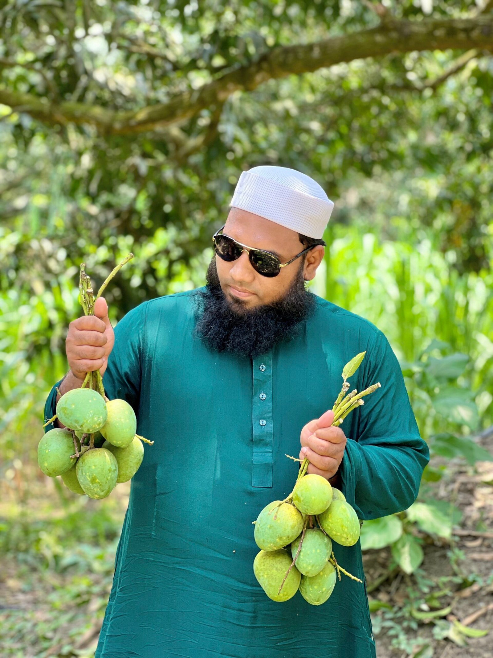 হিমসাগর আম